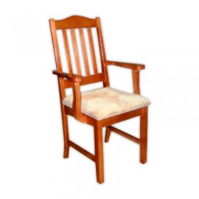 Стул-кресло Барс 