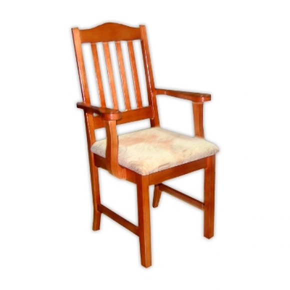 Стул-кресло Барс 